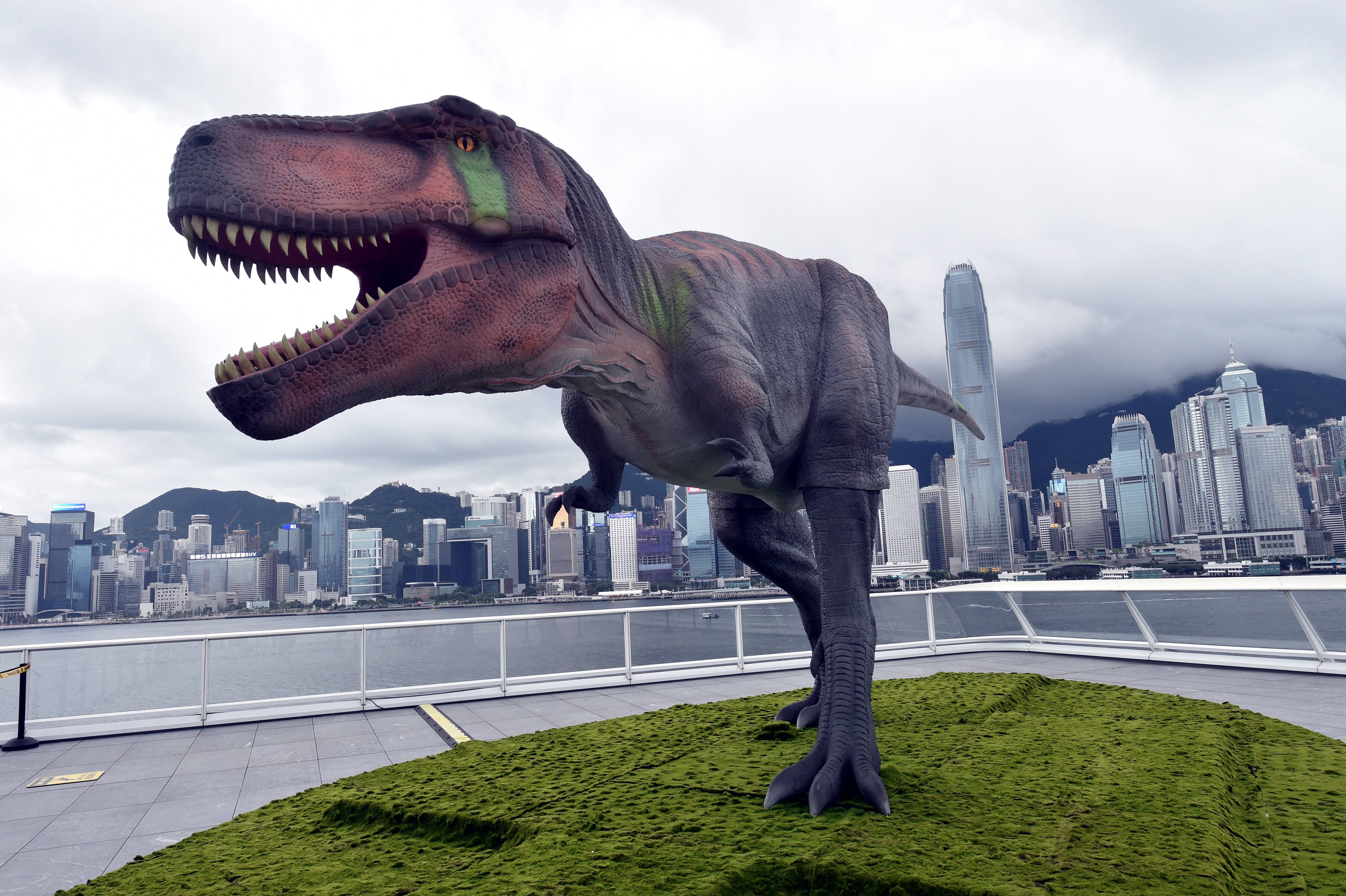 6米高暴龙 3.7 米高剑龙"登陆香港海港城 惟妙惟肖令人震惊