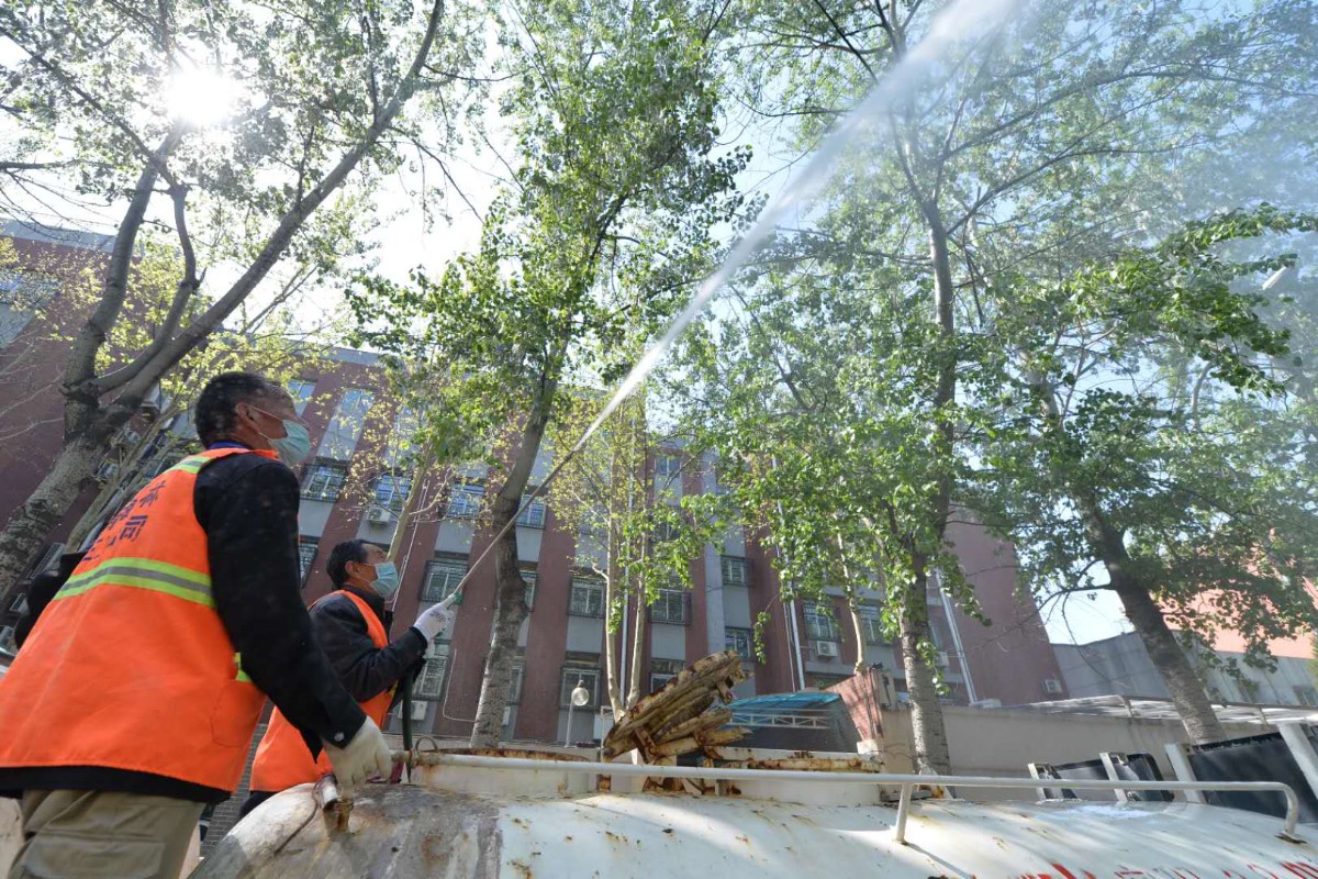 杨柳絮撒欢季节到!41家疫苗企业 118件防飞絮专利 治理仍任重道远