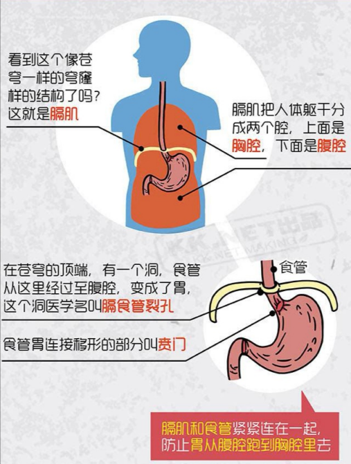 1岁幼儿频繁呕吐，柳州医院一检查，胃不见了北地之卵