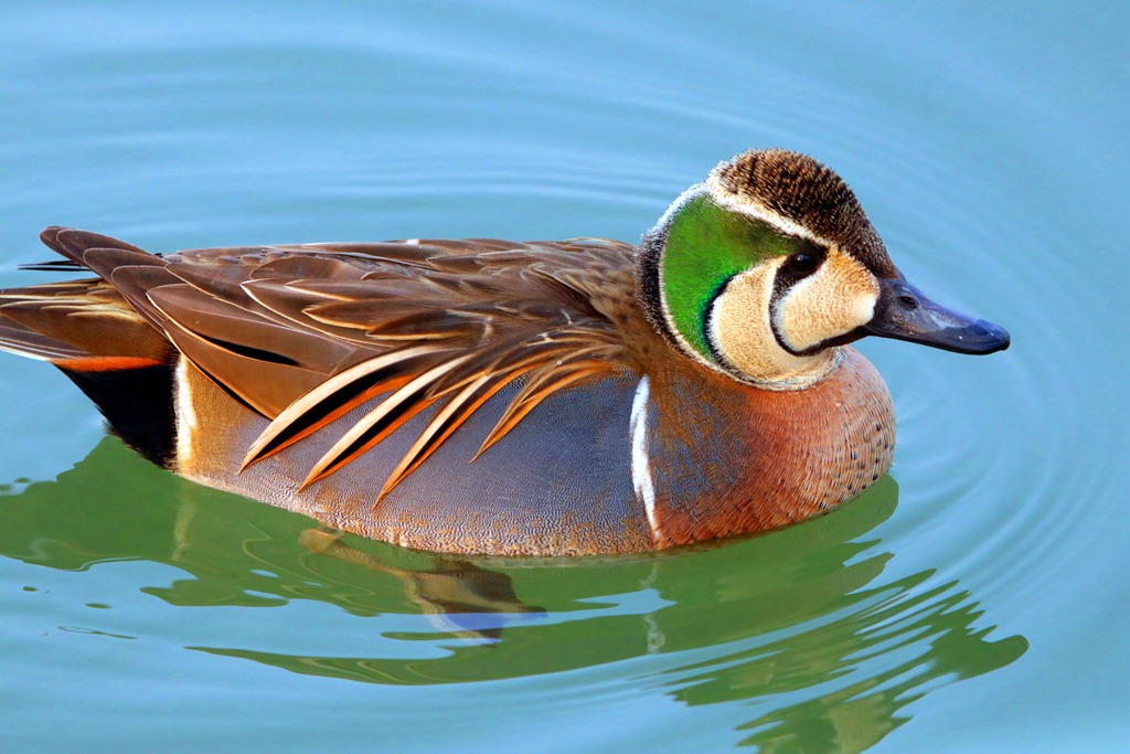 勤俭节约过佳节