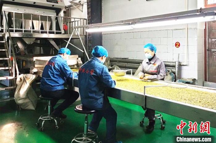 黑龙江工业学院排名_黑龙江工业学院举行2020级新生开学典礼暨军训动员