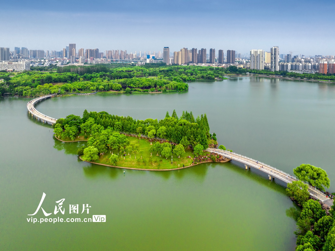 安徽合肥:初夏翡翠湖公園水清岸綠景美