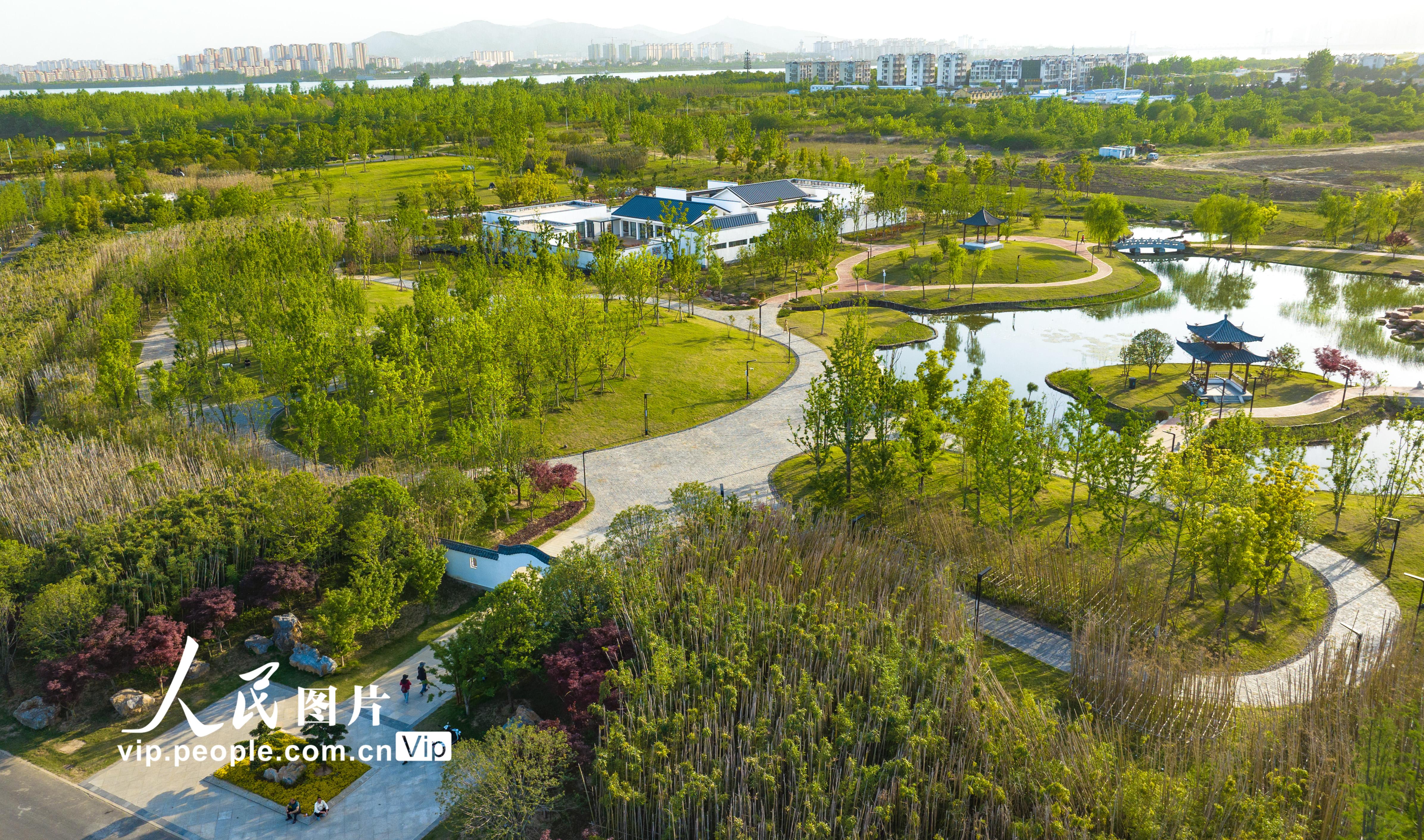 湖北襄阳:鱼梁洲中央生态公园开园