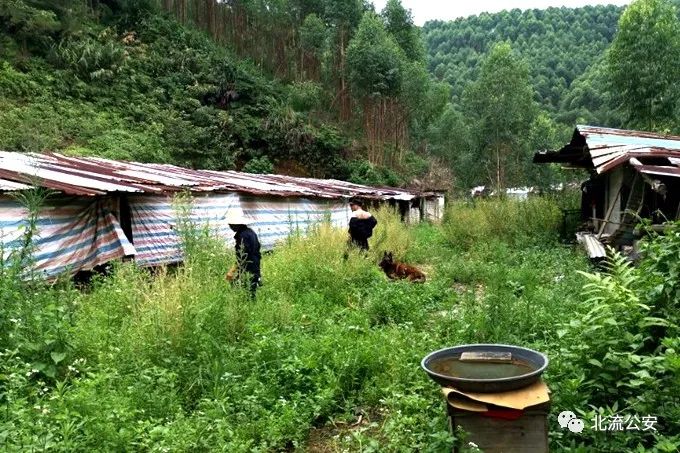 广西一男子夜奔300余公里返乡杀妻,躲藏时曾多次自杀