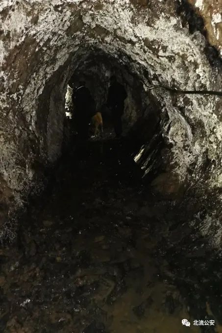 广西一男子夜奔300余公里返乡杀妻,躲藏时曾多次自杀