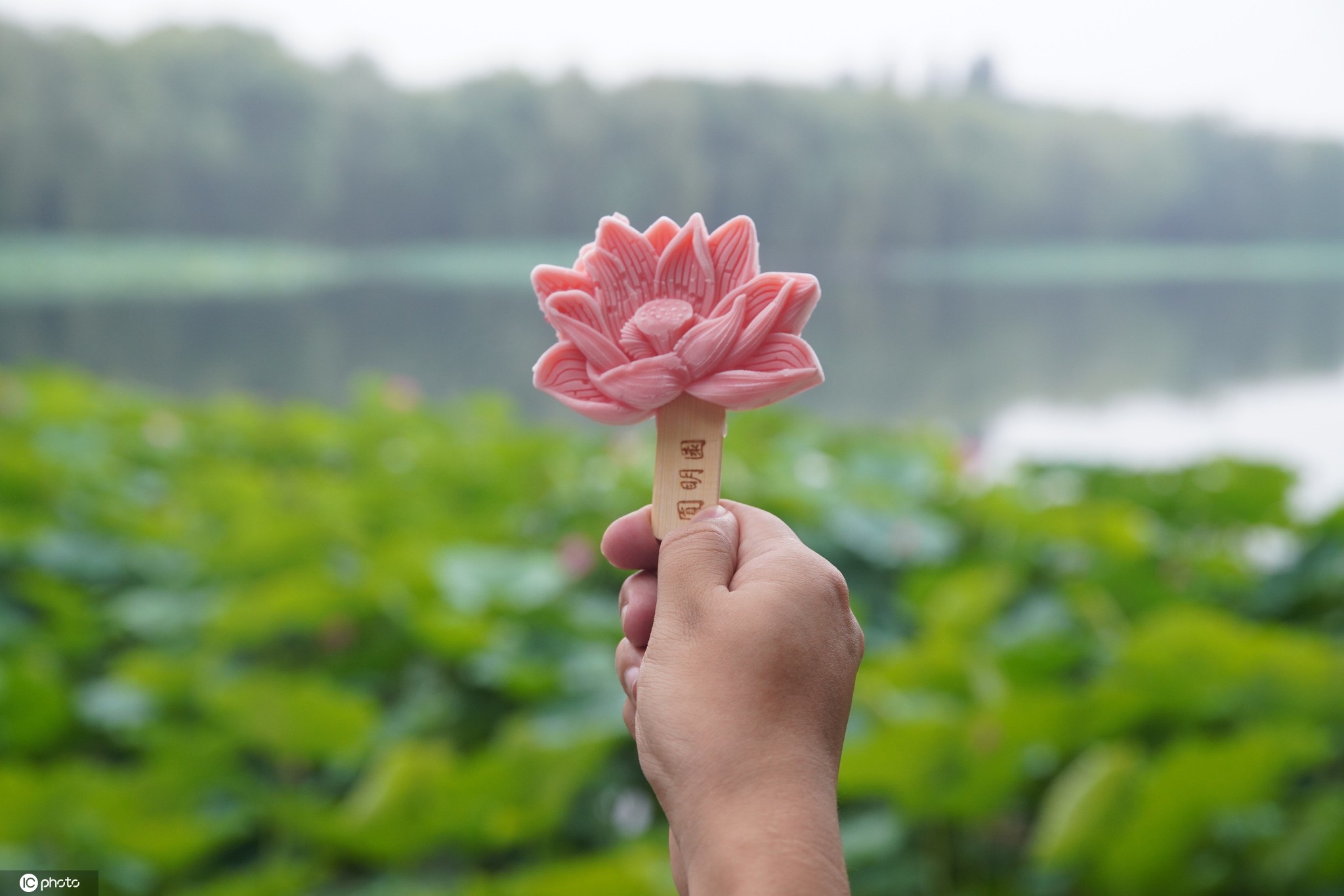 北京圆明园推出荷花冰淇淋 简直神仙颜值