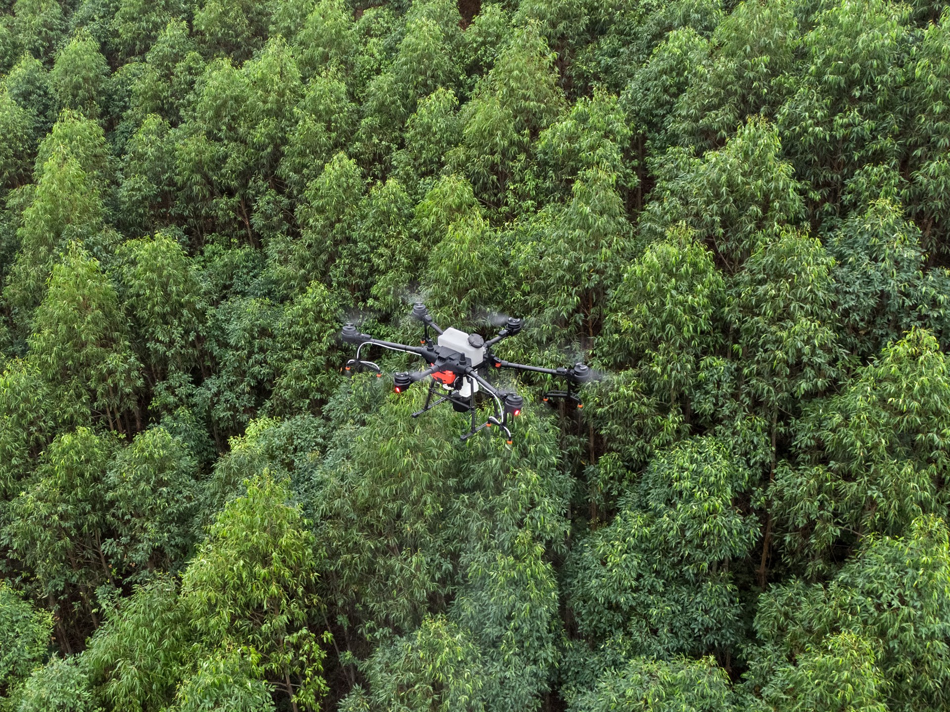 dji大疆农业的t20植保无人机作业照.大疆供图