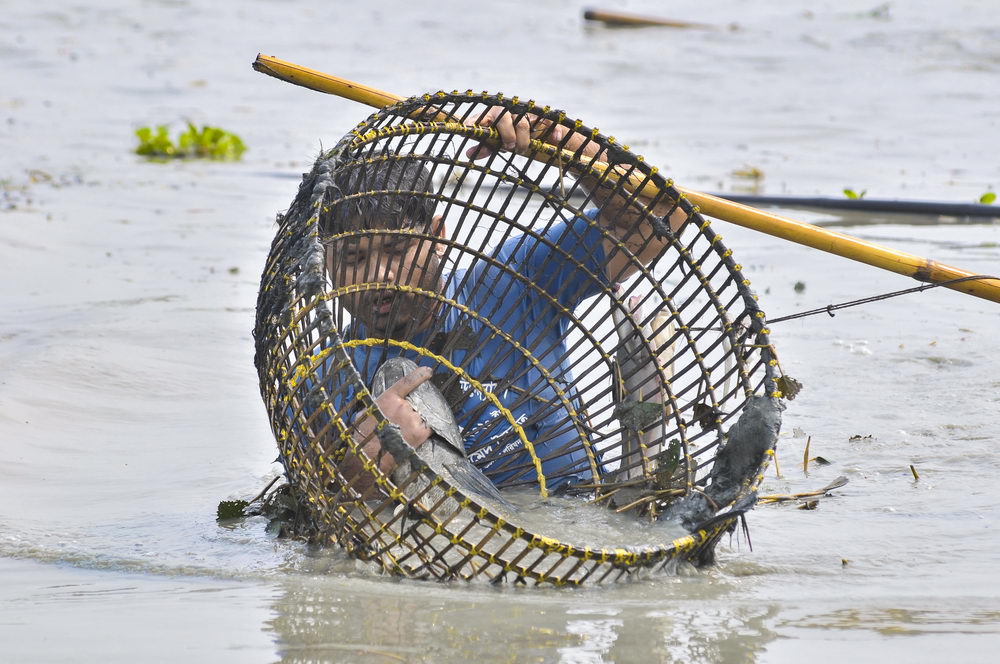 孟加拉国万人下河参加捕鱼节传统渔网怪异抓鱼效率却高