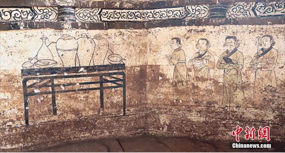 柳絮花粉过敏季02医生教你来防护