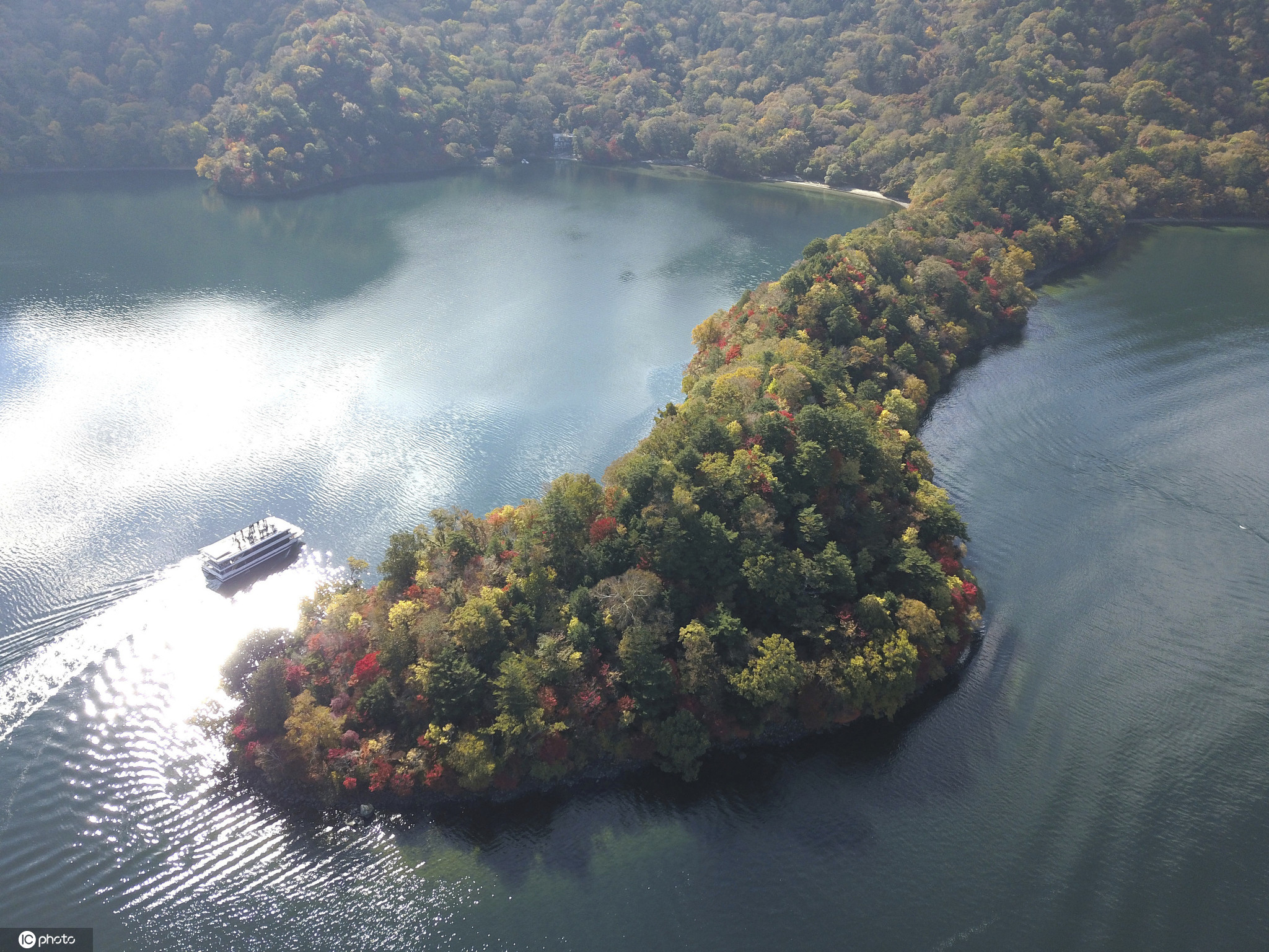 日本栃木县秋意浓 湖心小岛层林尽染