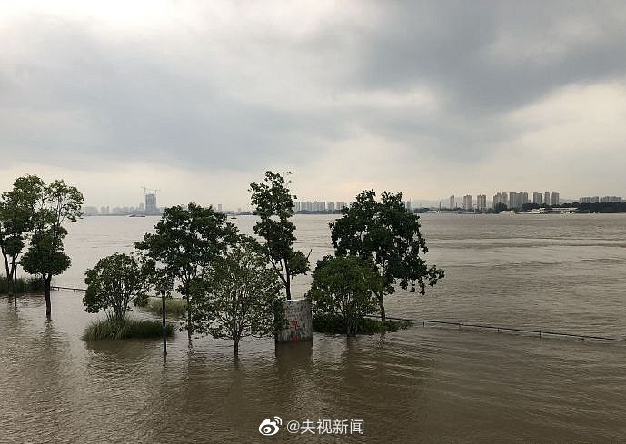南京河湖水位全面超警视频，抢险施工人员在对封堵设施增高加固