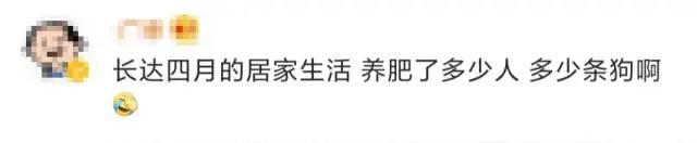 推荐狗子太胖被卡在公园长椅上，众人花10多分钟才救出，主人：很“丢狗”