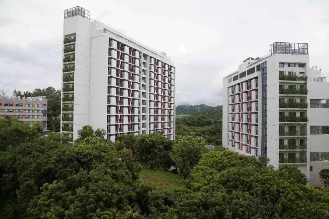 中 和同學們夜聊 今年研究生們入住的是新宿舍區, 博士生全部單人 