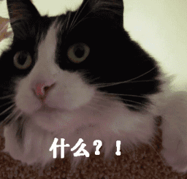 272_260gif 动态图 动图