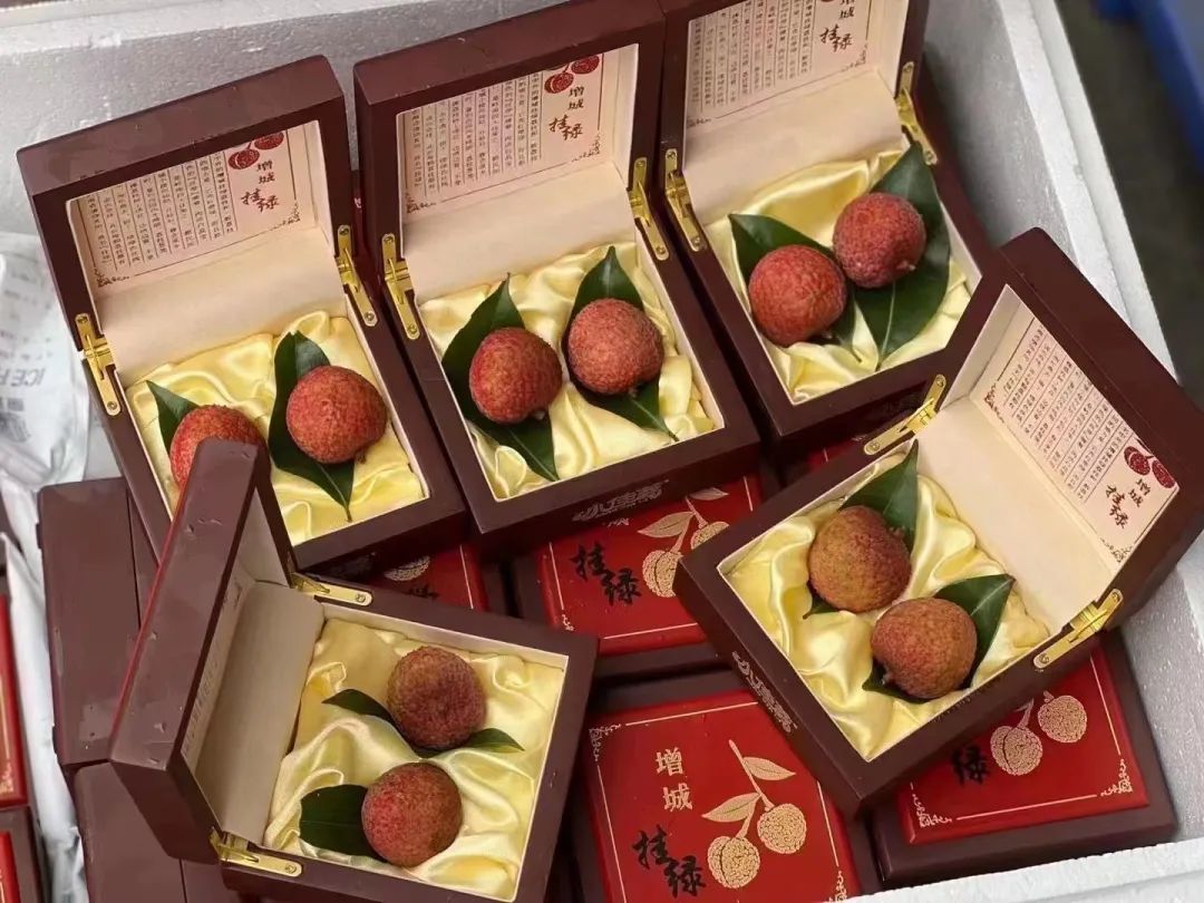 荔枝100元一颗,鄙视链都有了!网友:已经不是刺客了,叫悍匪